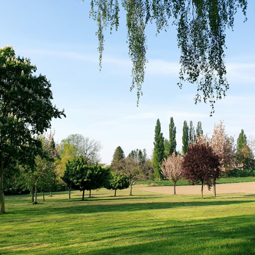 Jardin d'extérieur